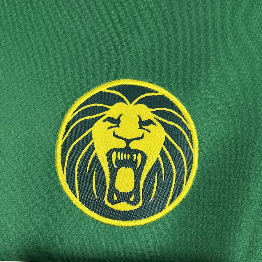 Maillot Cameroun domicile - 2025